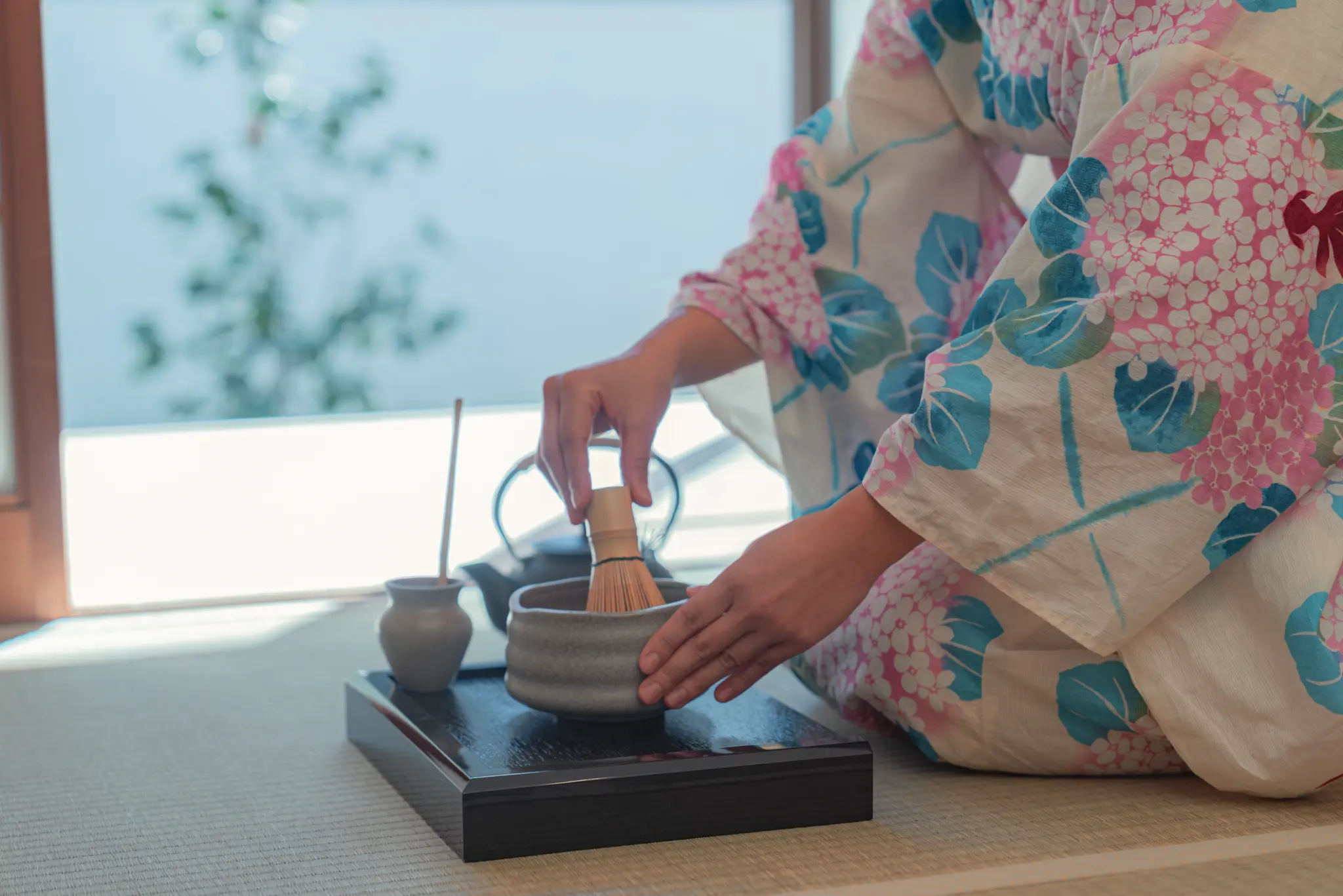 The Nature Uno Interior